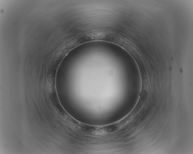 X0000074940604200609011117