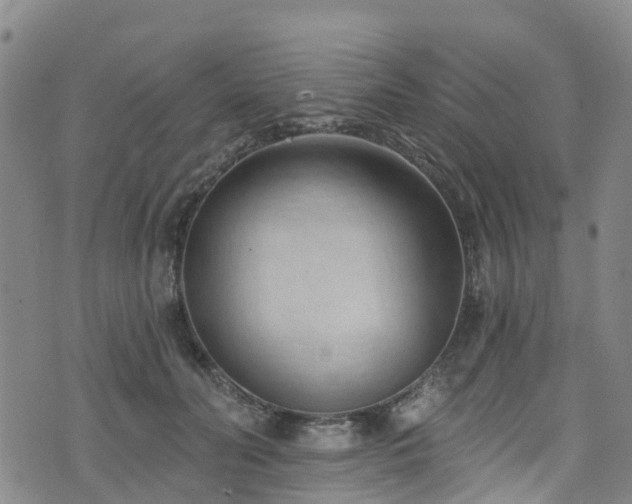 X0000074940606200609011117