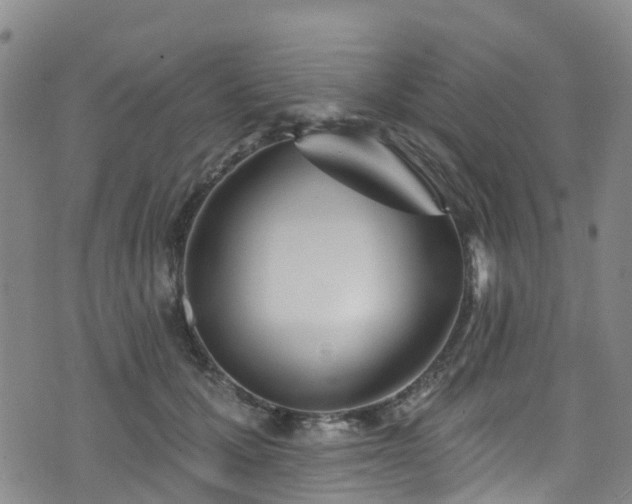 X0000074940607200609011117