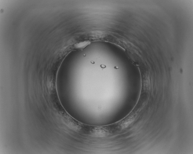 X0000074940608200609011117