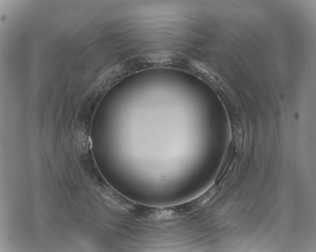 X0000074940609200609011117