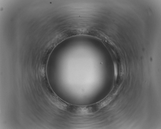 X0000074940613200609011117