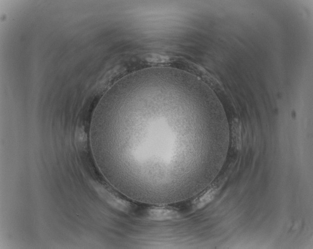 X0000074940614200609011117