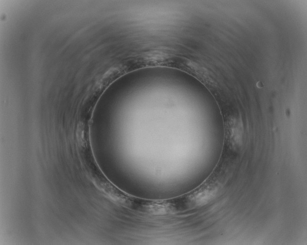 X0000074940615200609011117