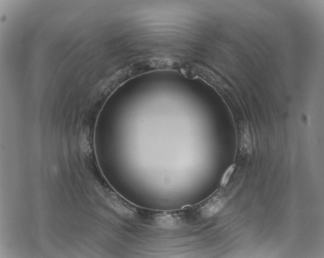 X0000074940616200609011117