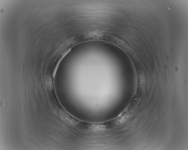 X0000074940617200609011117