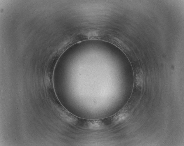 X0000074940618200609011117