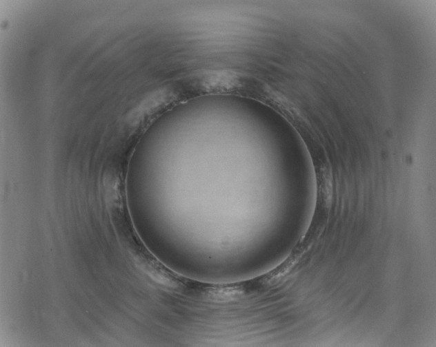 X0000074940619200609011117