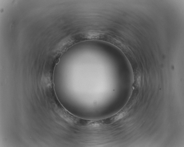 X0000074940620200609011117