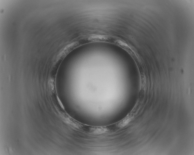 X0000074940621200609011117