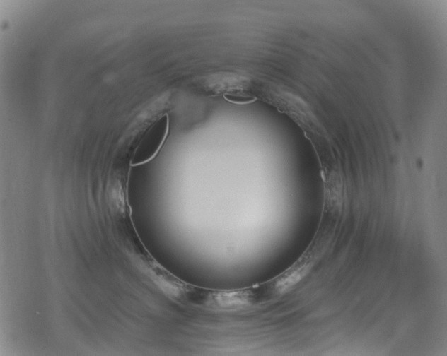 X0000074940622200609011117