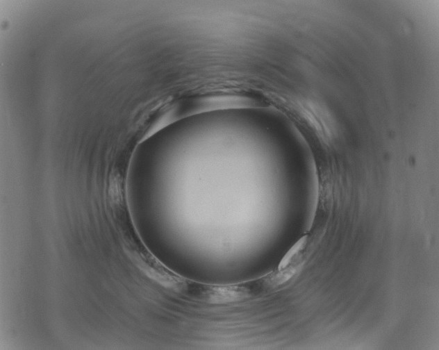 X0000074940623200609011117