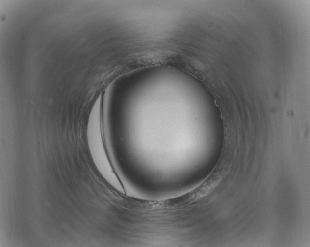 X0000074940624200609011117