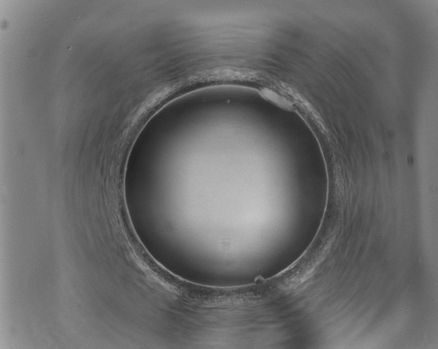 X0000074940625200609011116