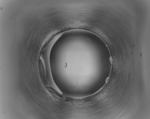 X0000074940626200609011116