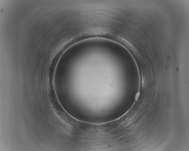 X0000074940627200609011116