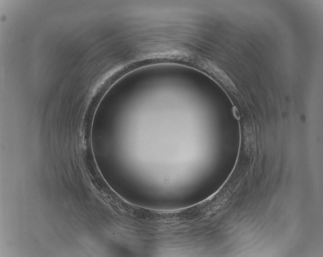 X0000074940628200609011116