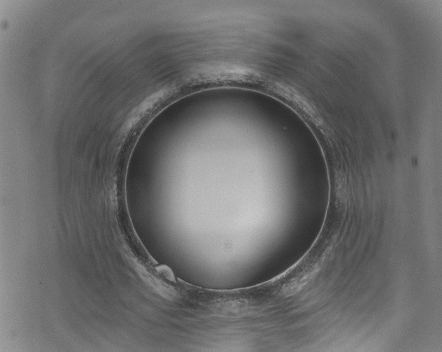 X0000074940629200609011116