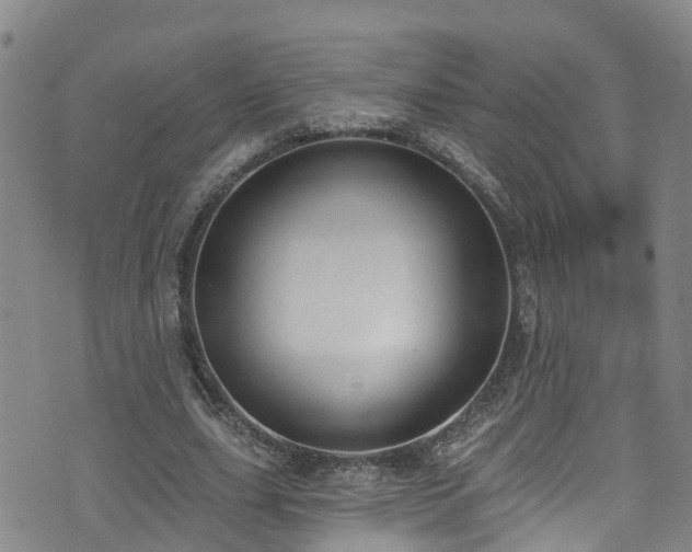 X0000074940631200609011116