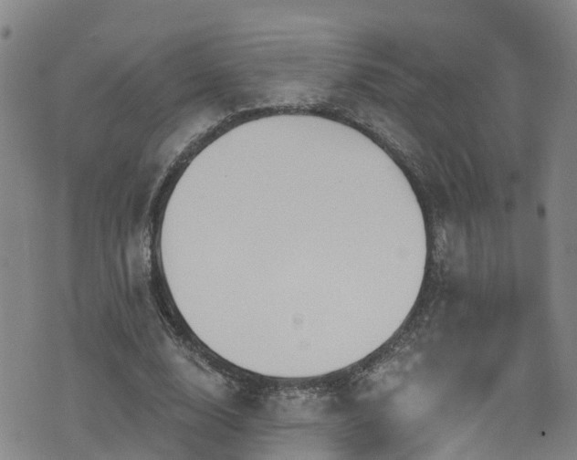 X0000074940632200609011116