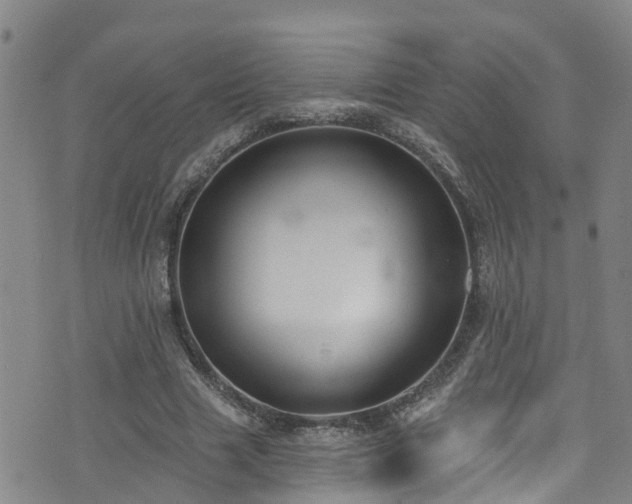 X0000074940633200609011116