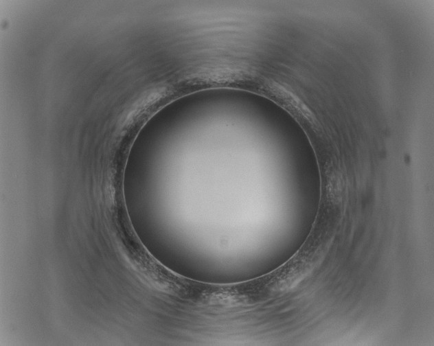 X0000074940635200609011116