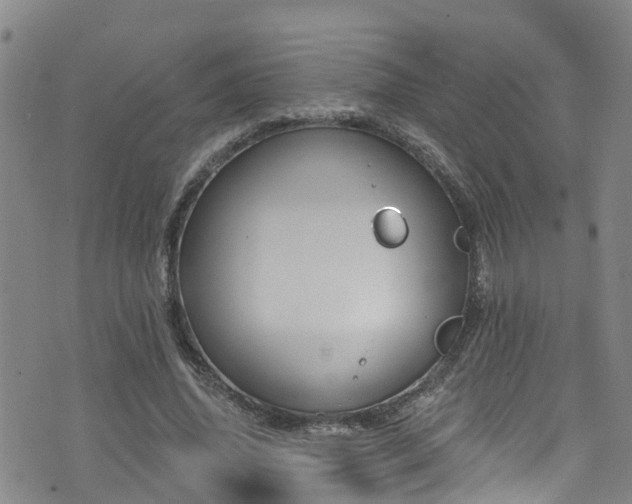 X0000074940636200609011116