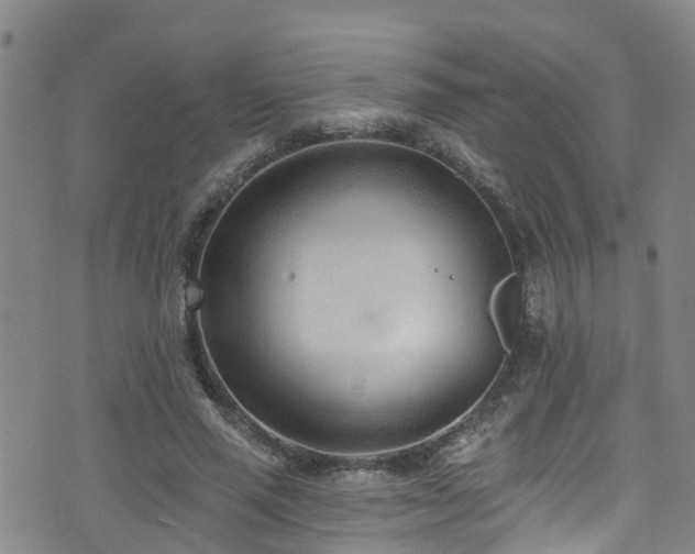 X0000074940637200609011116