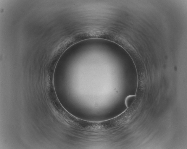 X0000074940639200609011116