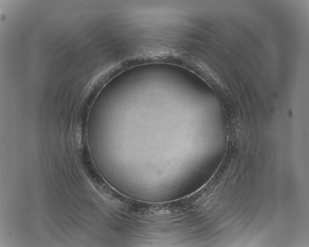 X0000074940640200609011116