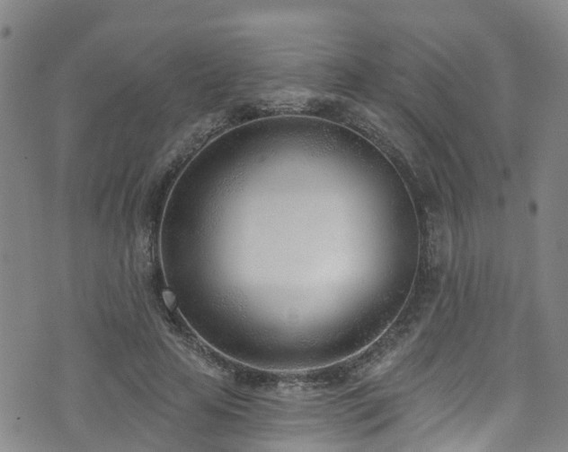 X0000074940641200609011116