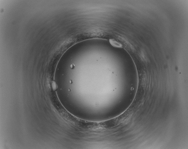 X0000074940643200609011116