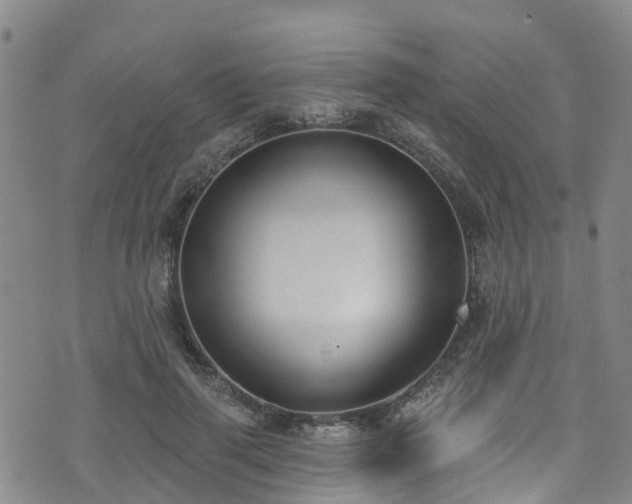 X0000074940645200609011117