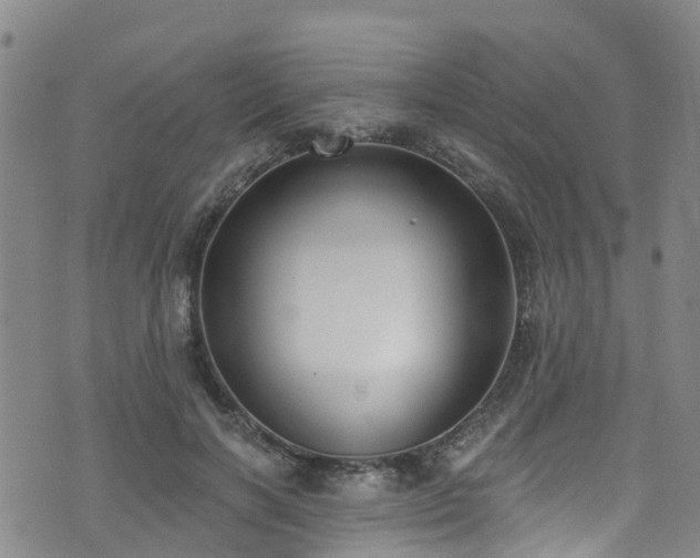 X0000074940646200609011117