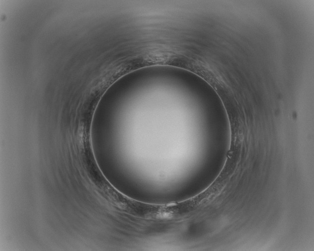 X0000074940647200609011117