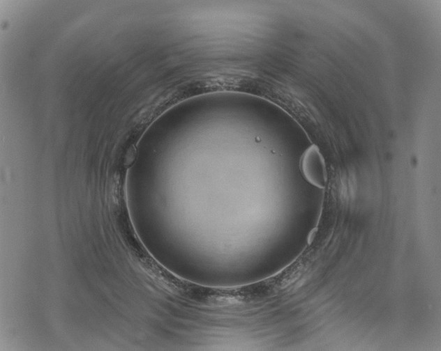 X0000074940649200609011117