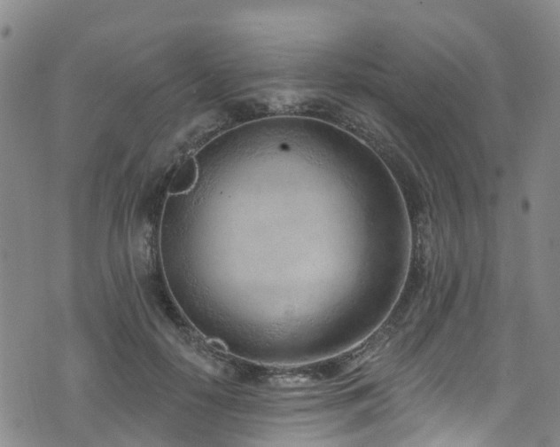 X0000074940650200609011117