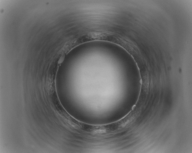 X0000074940653200609011117