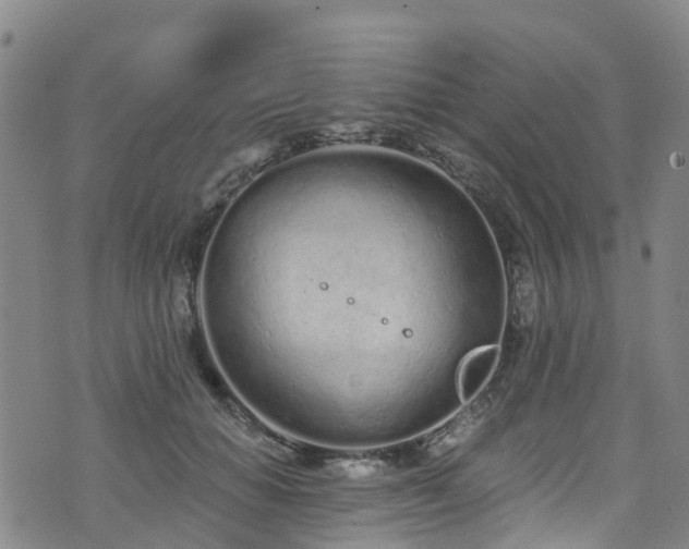 X0000074940654200609011117