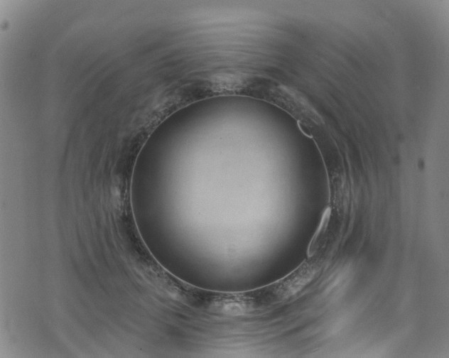 X0000074940655200609011117