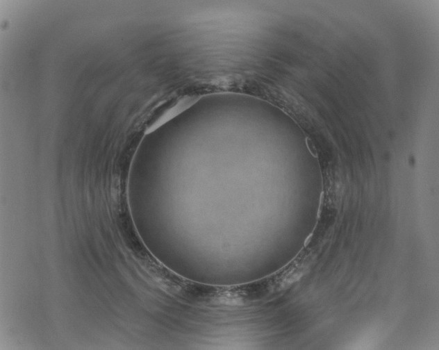 X0000074940656200609011117