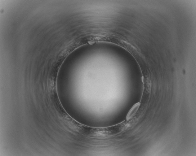 X0000074940657200609011117