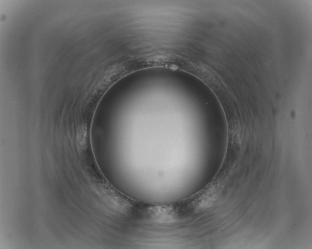 X0000074940660200609011117