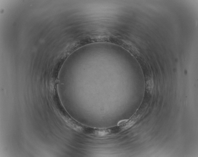 X0000074940662200609011117