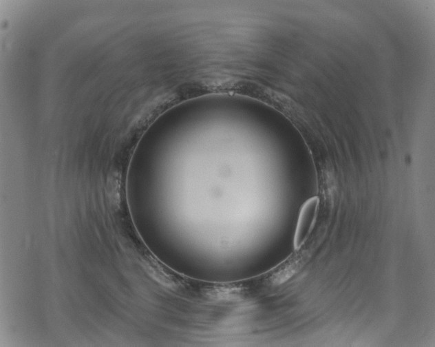 X0000074940664200609011117