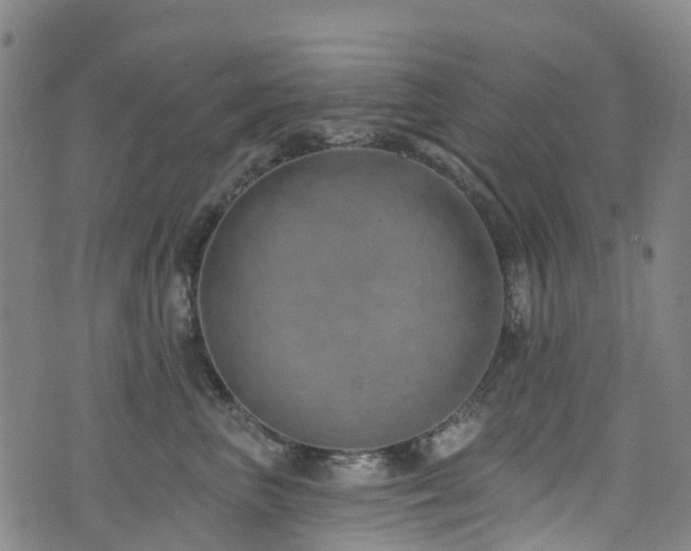 X0000074940667200609011117