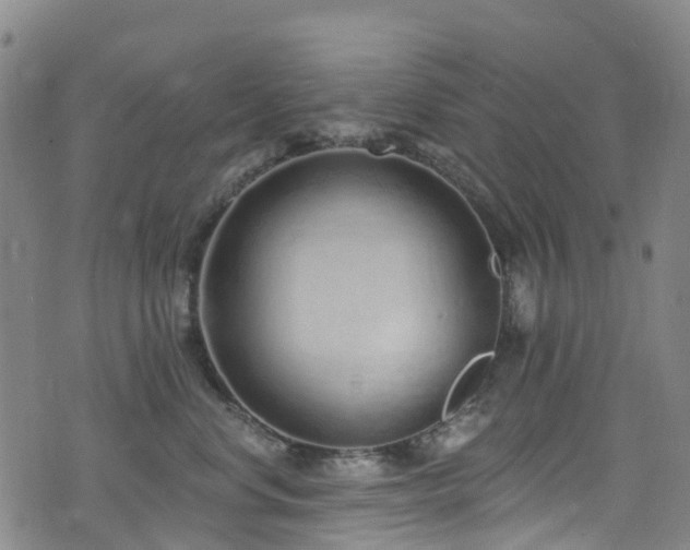 X0000074940668200609011117