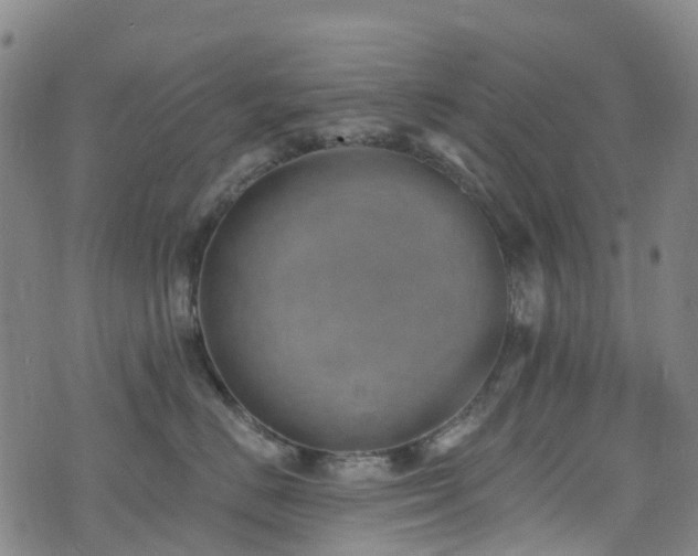 X0000074940670200609011117