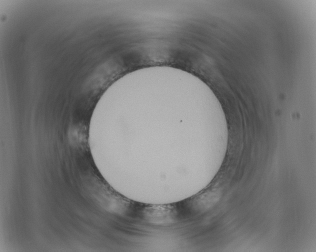 X0000074940672200609011117