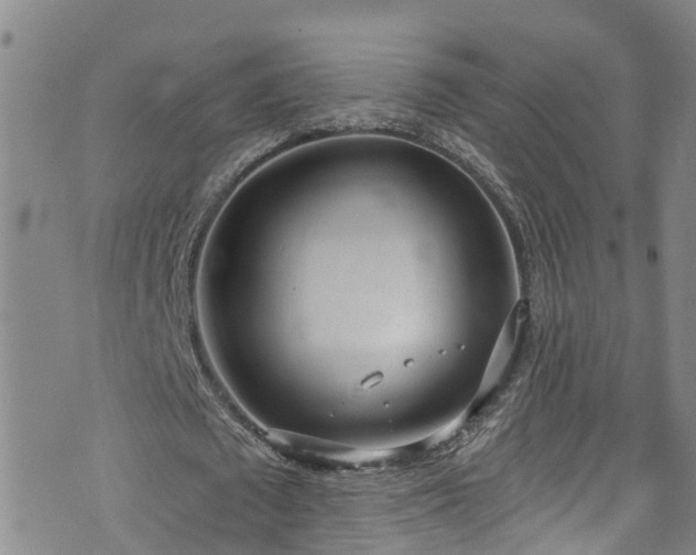 X0000074940673200609011116